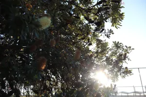 2025-06-21 Bartons Park - IMG_2588_compressed_q50.webp